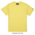 【BIGサイズ対応商品】  GRANDE.F.P.定番ハイクオリティー.ベーシックソリッド（無地）刺繍入りカラーTシャツ 　バナナイエロー
