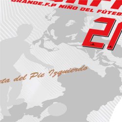 画像9: 【完全予約販売：ご注文から、3〜4週間後にお届け商品.お届け指定日不可】【ジュニア〜BIGサイズ対応商品】豊田歩ｘGRANDE.F.Pコラボ.AYUMU・NO.21昇華転写サポートプラシャツ.長袖　ホワイト