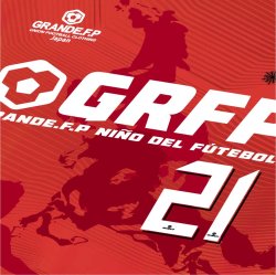 画像8: 【完全予約販売：ご注文から、3〜4週間後にお届け商品.お届け指定日不可】【ジュニア〜BIGサイズ対応商品】豊田歩ｘGRANDE.F.Pコラボ.AYUMU・NO.21昇華転写サポートプラシャツ.半袖　レッド