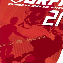 画像9: 【完全予約販売：ご注文から、3〜4週間後にお届け商品.お届け指定日不可】【ジュニア〜BIGサイズ対応商品】豊田歩ｘGRANDE.F.Pコラボ.AYUMU・NO.21昇華転写サポートプラシャツ.半袖　レッド