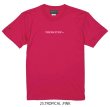 画像1: 【BIGサイズ対応商品】 グランデ・エフ・ピー.POPロゴ.プリントTシャツ　トロピカルピンク