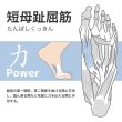 画像9: 【Activital PROファイブ フットサポーター】 オレンジ