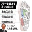 画像7: 【Activital PRO フットサポーター】 ネイビー